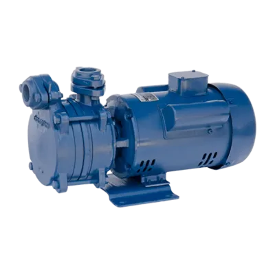 Crompton DMB10DCSL Centrifugal Single Phase Heavy Duty Monoblock Water Pump (1HP, Blue)