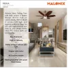 Halonix Hexa 900mm Ceiling Fan with Built-in 6 Colour LED Light and Remote (Antique Copper, 36 Inch)