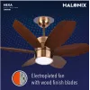 Halonix Hexa 900mm Ceiling Fan with Built-in 6 Colour LED Light and Remote (Antique Copper, 36 Inch)