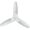 Orient Electric Aeroquiet BLDC 1200mm Energy Efficient Premium Ceiling Fan with 5 Years Warranty and Remote (White)