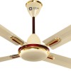 Orient Electric Quadro Ornamental 1200mm Ceiling Fan (Metallic Ivory/Cherry)